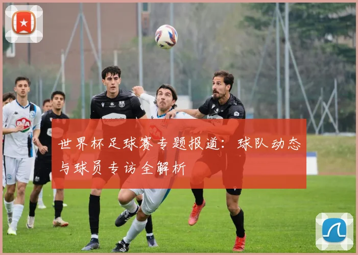 世界杯足球赛专题报道:球队动态与球员专访全解析