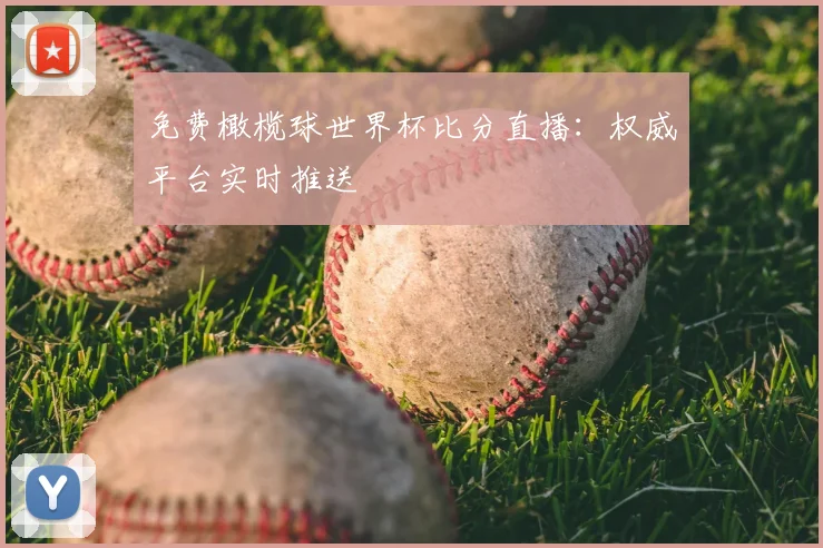 免费橄榄球世界杯比分直播：权威平台实时推送
