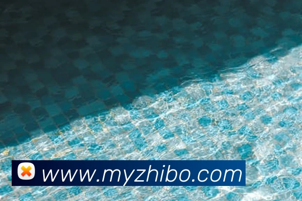 意昂体育官网登录APP 封面图